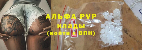 СК Алексин