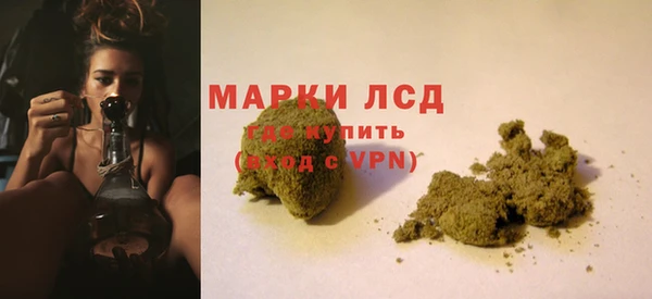 СК Алексин