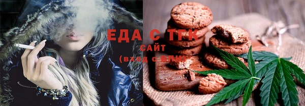 СК Алексин
