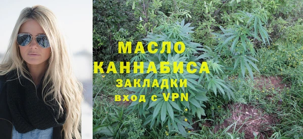 СК Алексин