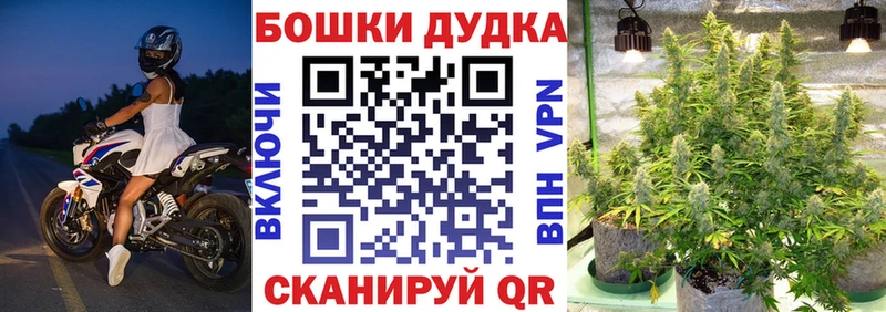 купить закладку  Брюховецкая  Конопля планчик 